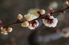 P1020029