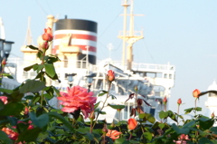 P1010363