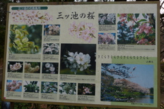 P1020026