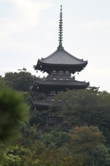 IMG_4901