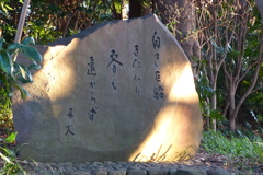 P1010404