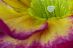 P1010967