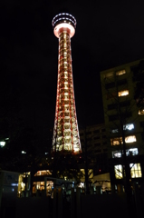 P1010939