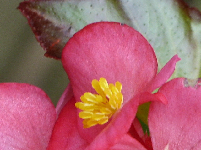 P1010049