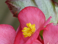 P1010049