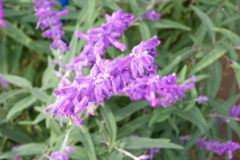 P1010351