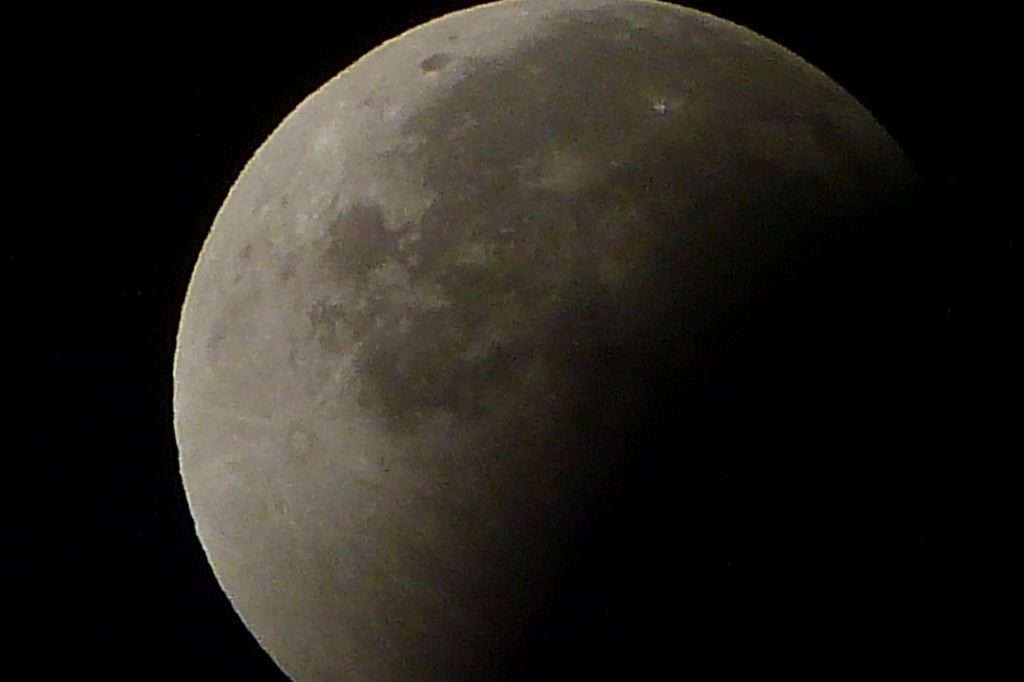 P1010787