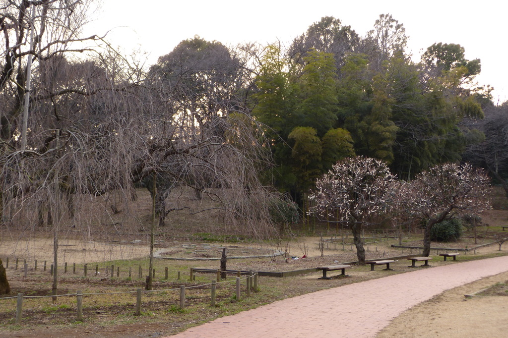 P1020028