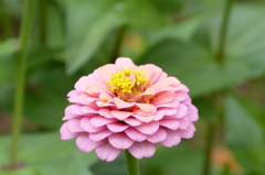P1010340
