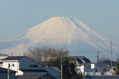 P1010812