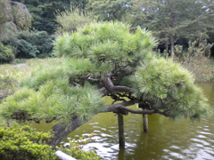 DSCN0702