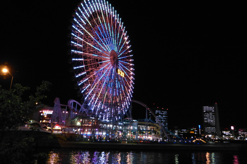 P1010698