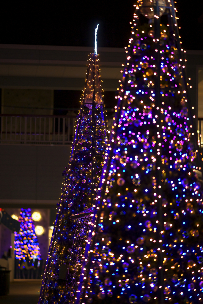 今年のクリスマスは