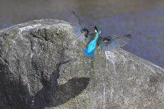 landing！！