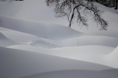 雪の肌