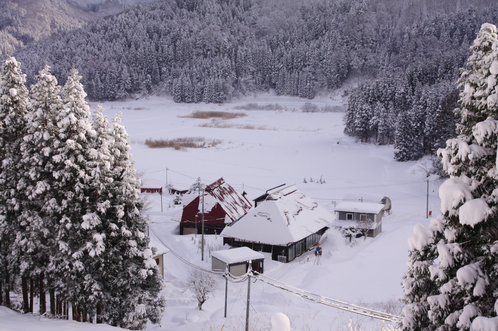 雪の朝