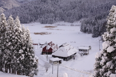 雪の朝