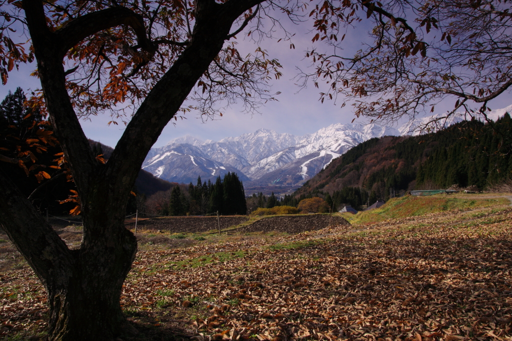 山里の秋