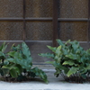P1120994
