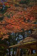 六義園