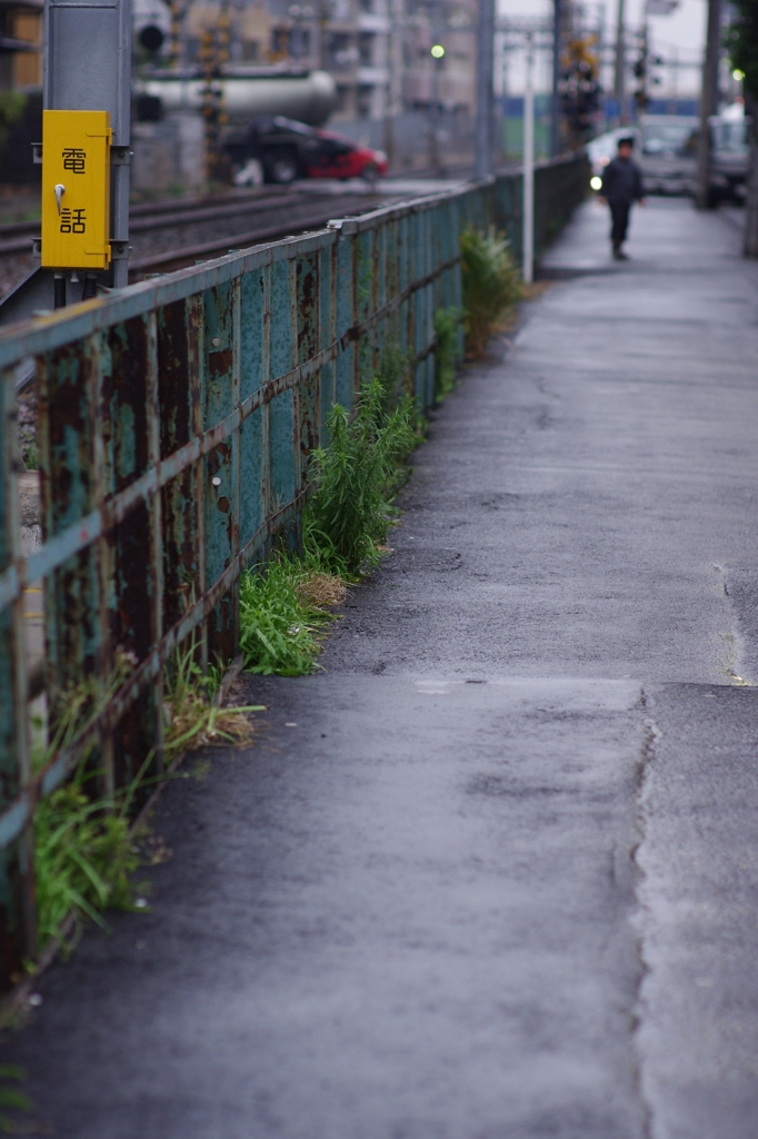 雨の線路沿い