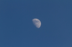 夕月