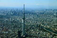 スカイツリー&東京タワー&富士山