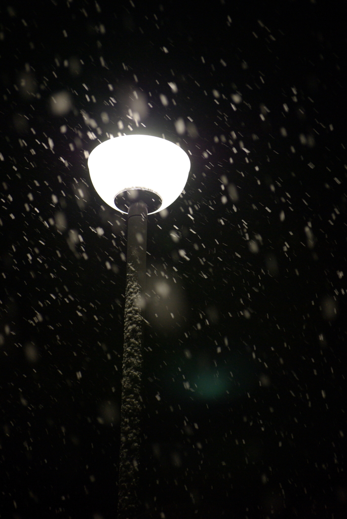 雪降る夜に・・・