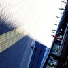 Shadow and Light