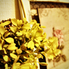 room #2