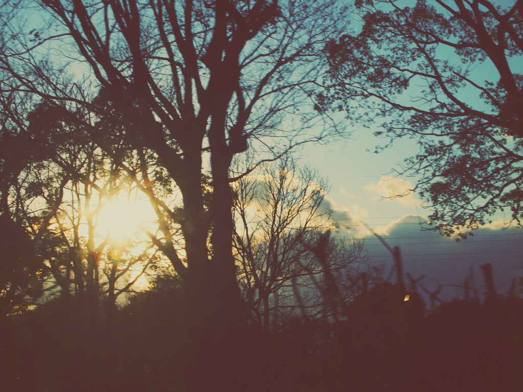 Luster of gold.