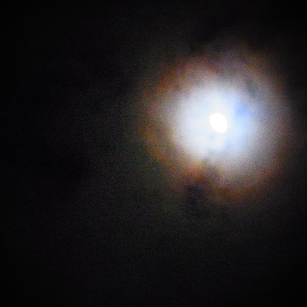 moonlight