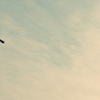 flyby