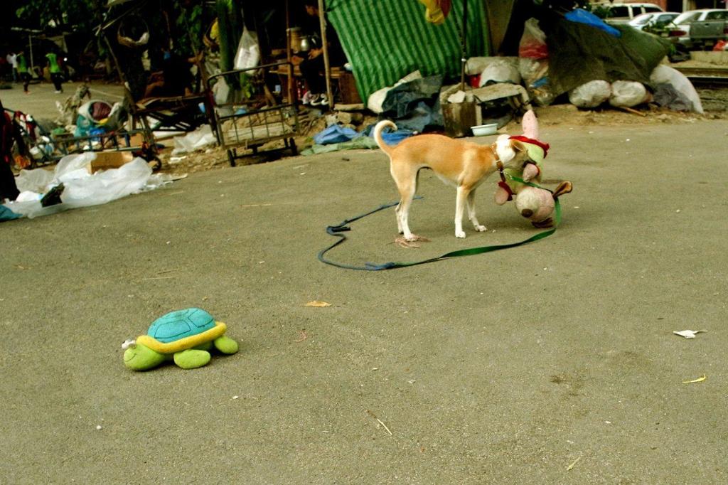 Bangkok