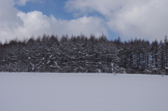 北海道の冬③