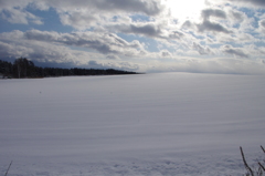 北海道の冬②