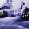 飛んで火にいる夏（冬）の虫。