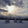 After a storm 