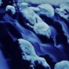 Cold Cold Cry・・・