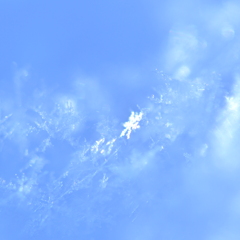 snow crystal