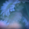 One more Ⅱ