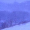 雪がしんしん