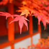 京都