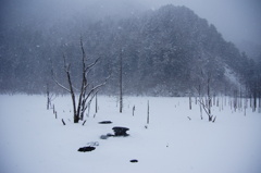 厳冬の自然湖