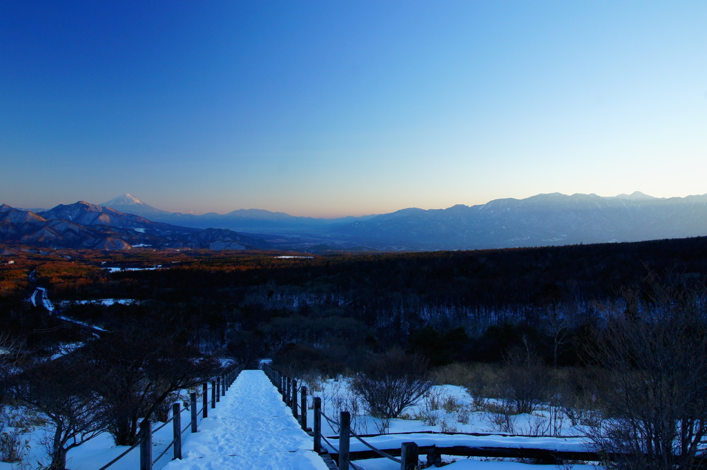 美し森の夕暮れ