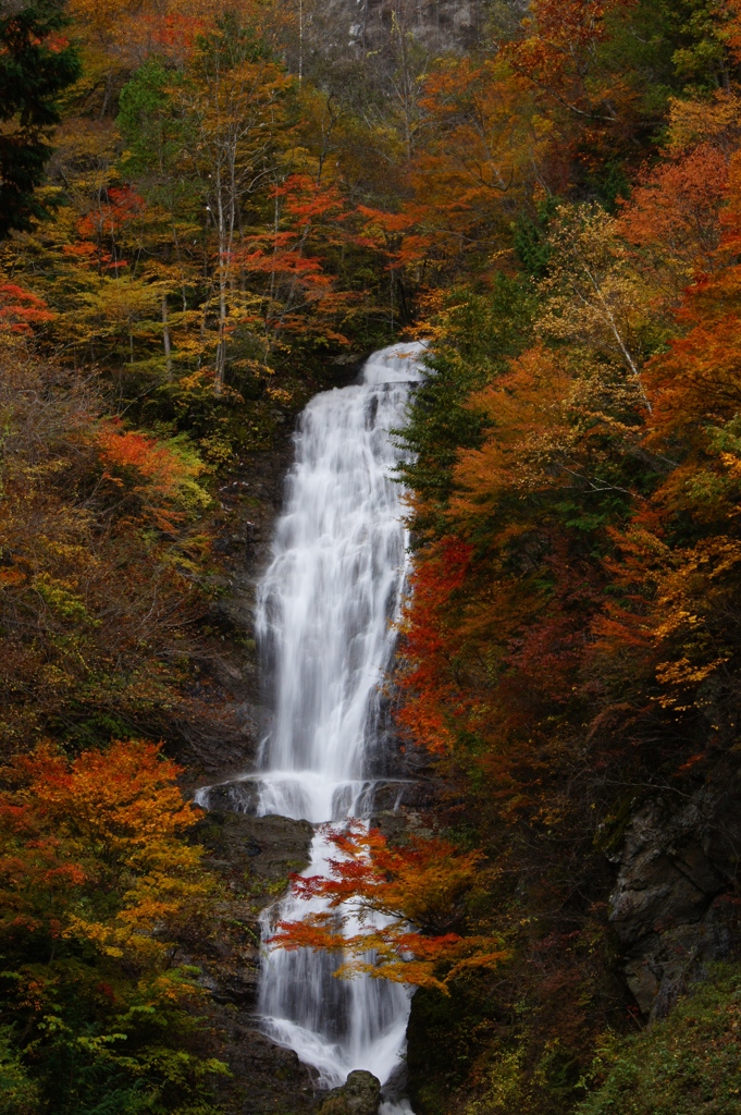 秋の深まり