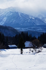 冬の里山