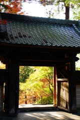 秋は過ぎ行き
