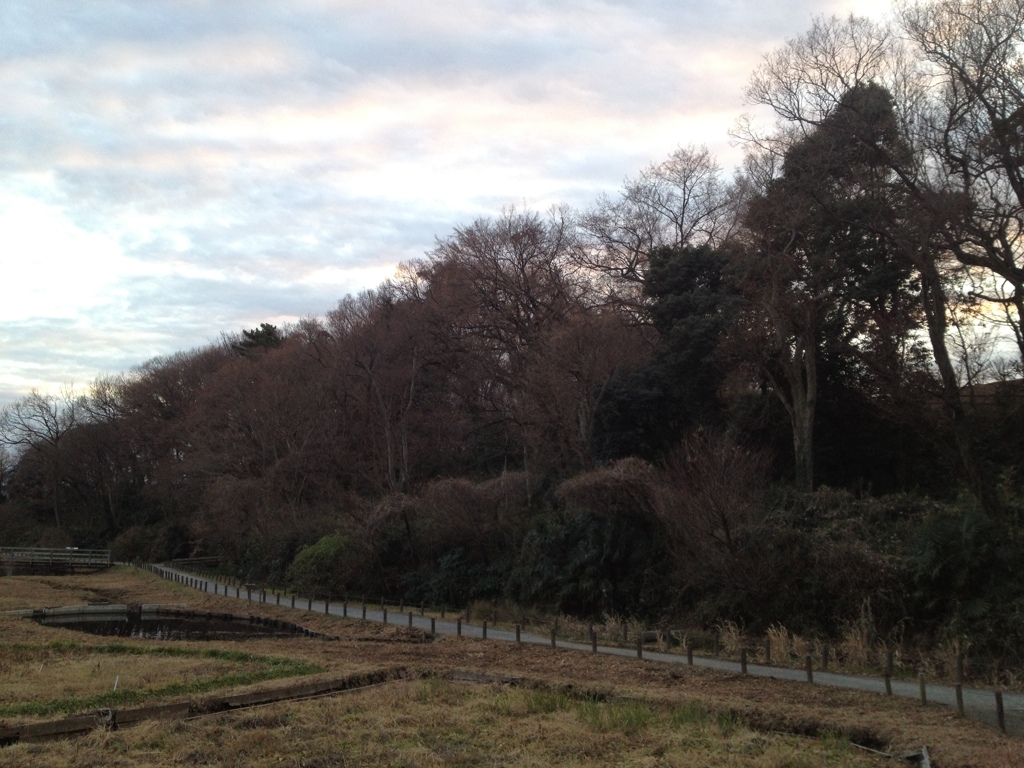 深大寺城跡