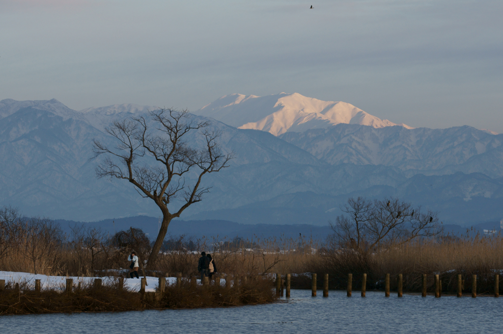 語らいの沼湖